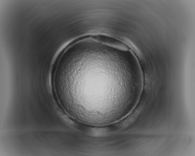 X0000113760788200909301108
