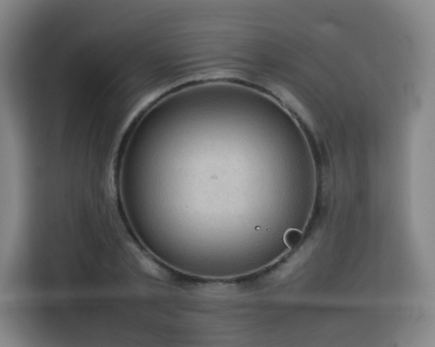 X0000113760789200909301108