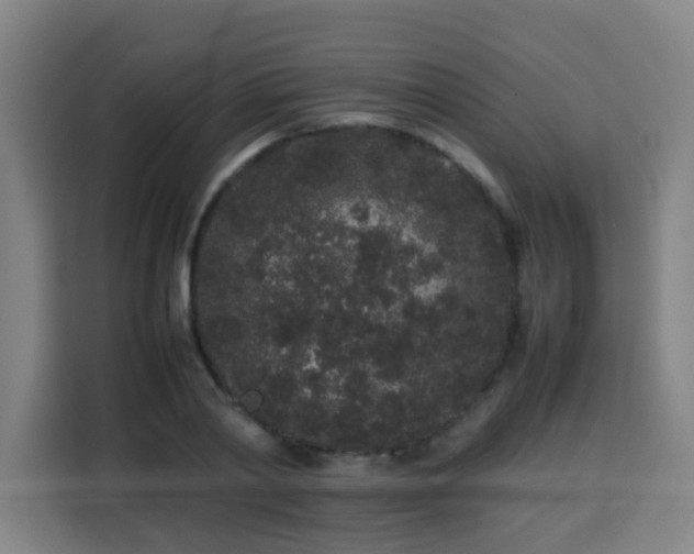 X0000113760790200909301108