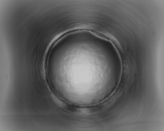 X0000113760792200909301108