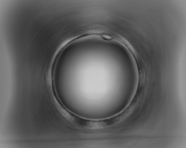 X0000113760795200909301108