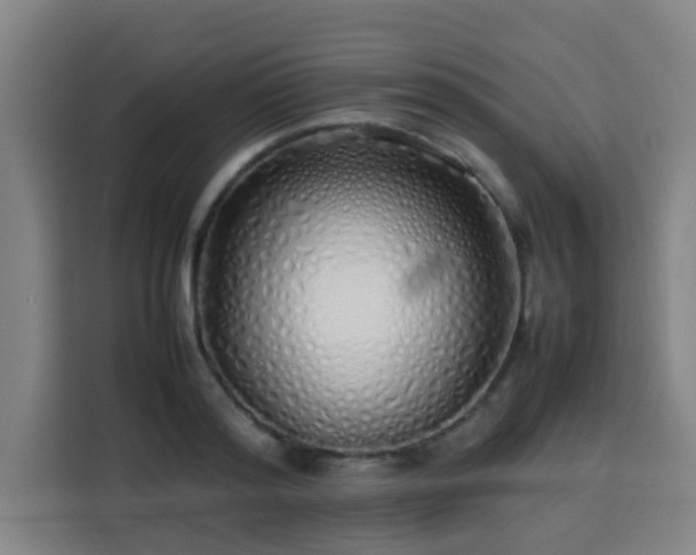X0000113760796200909301108