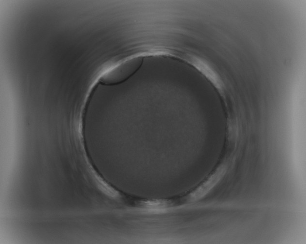 X0000113760797200909301108