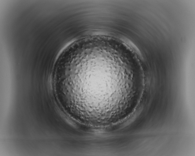 X0000113760798200909301108