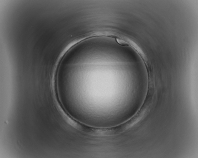 X0000113760803200909301108