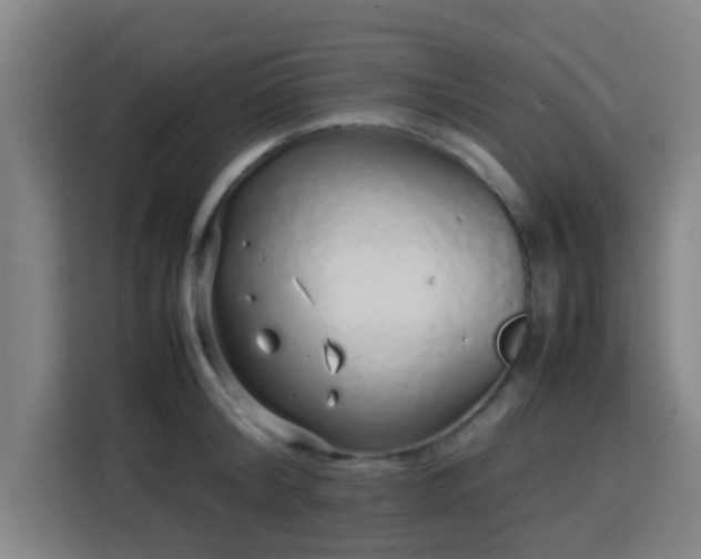 X0000113760804200909301108