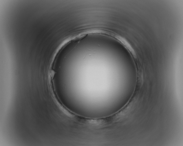 X0000113760805200909301108