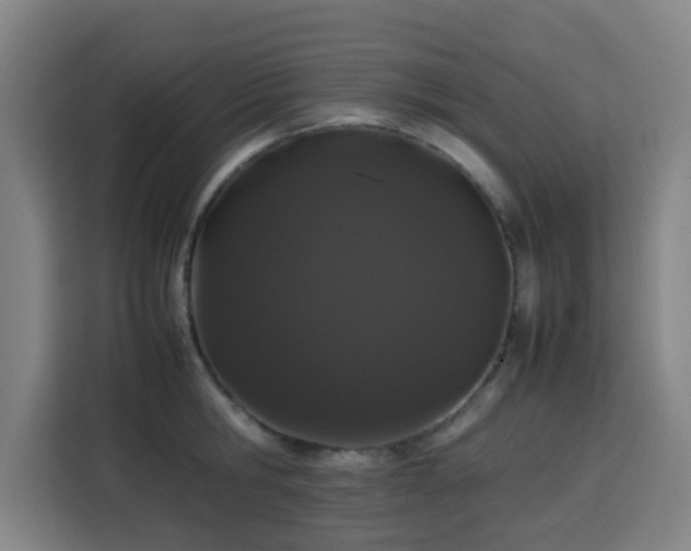 X0000113760806200909301108