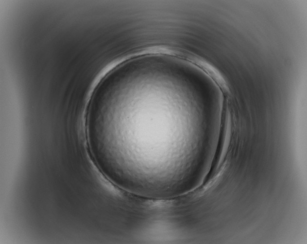 X0000113760808200909301108