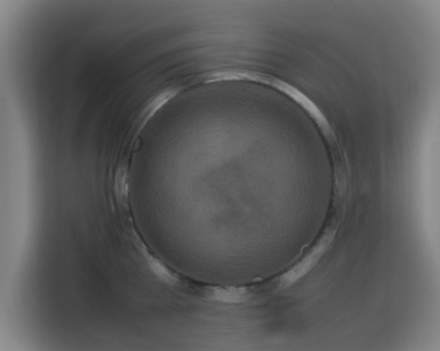 X0000113760809200909301108
