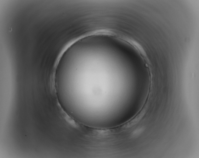 X0000113760816200909301108