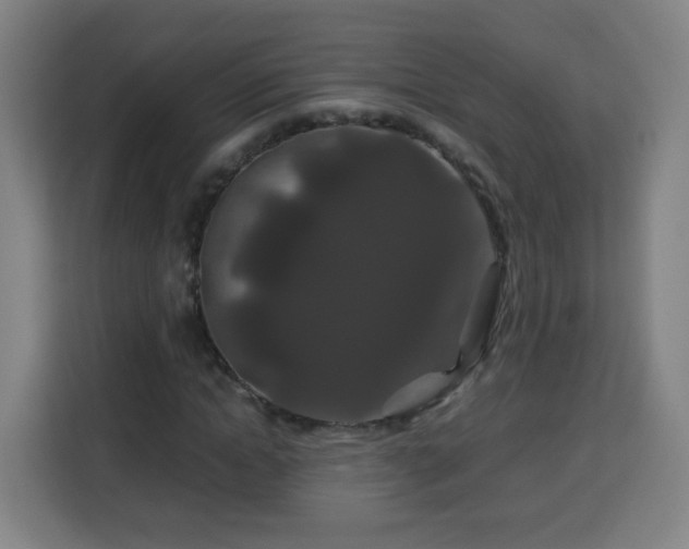 X0000113760822200909301107