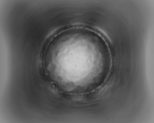 X0000113760823200909301107