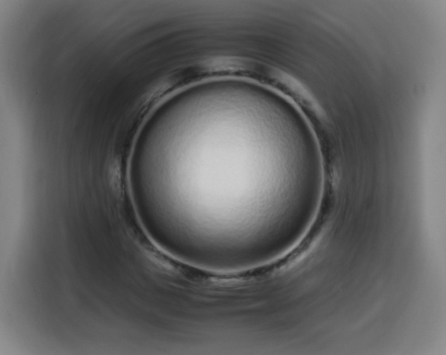 X0000113760825200909301107