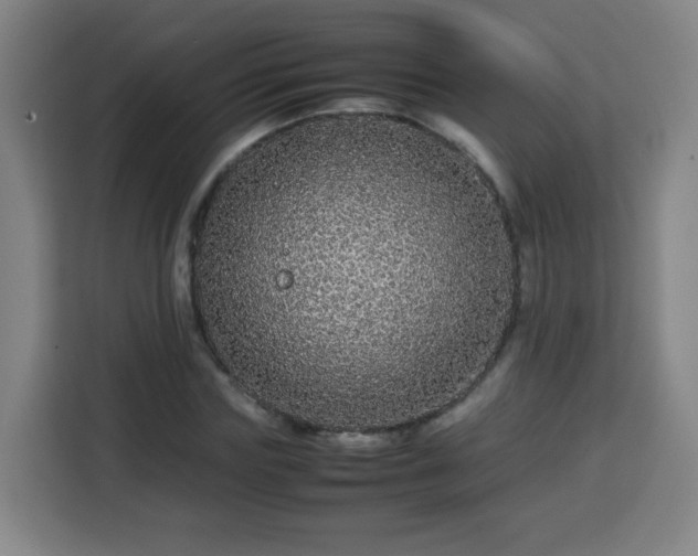 X0000113760827200909301107