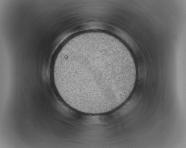 X0000113760828200909301107