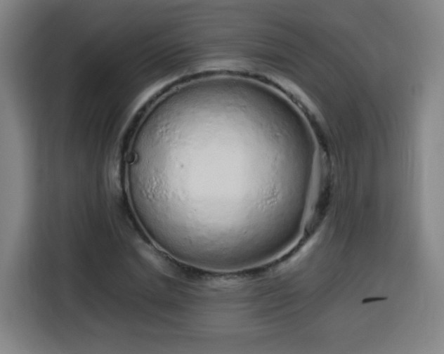 X0000113760830200909301107