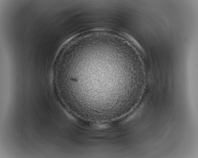 X0000113760831200909301107
