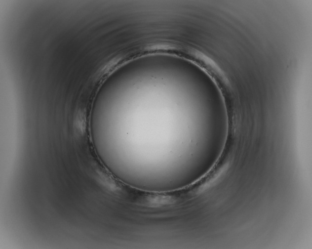 X0000113760833200909301108