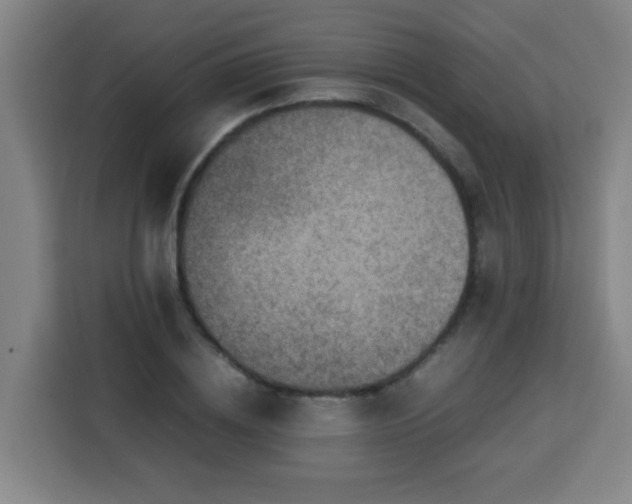 X0000113760836200909301108