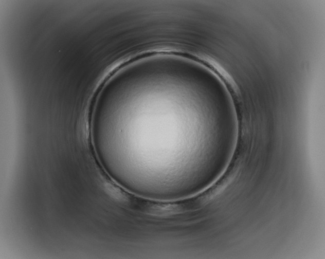 X0000113760837200909301108