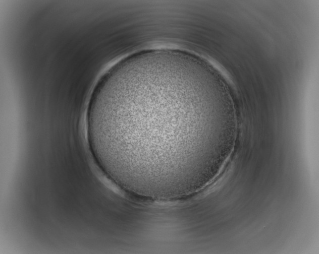 X0000113760840200909301108