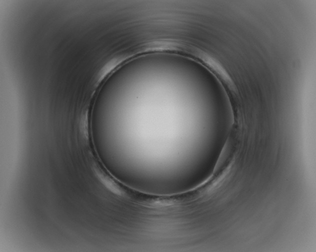 X0000113760842200909301108