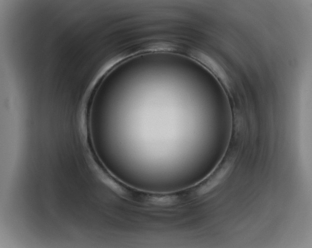 X0000113760843200909301108