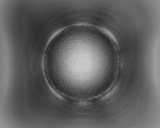 X0000113760847200909301108