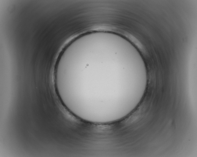 X0000113760848200909301108