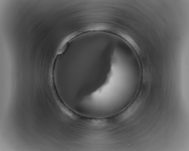 X0000113760850200909301108