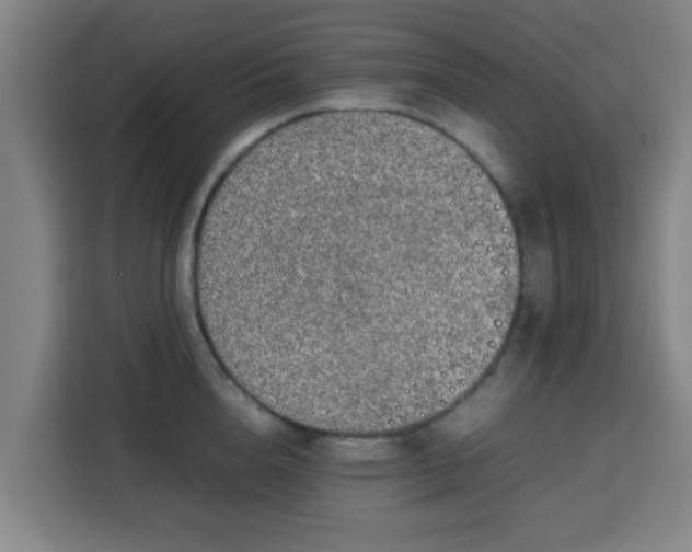 X0000113760856200909301108