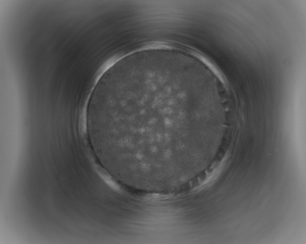 X0000113760858200909301108
