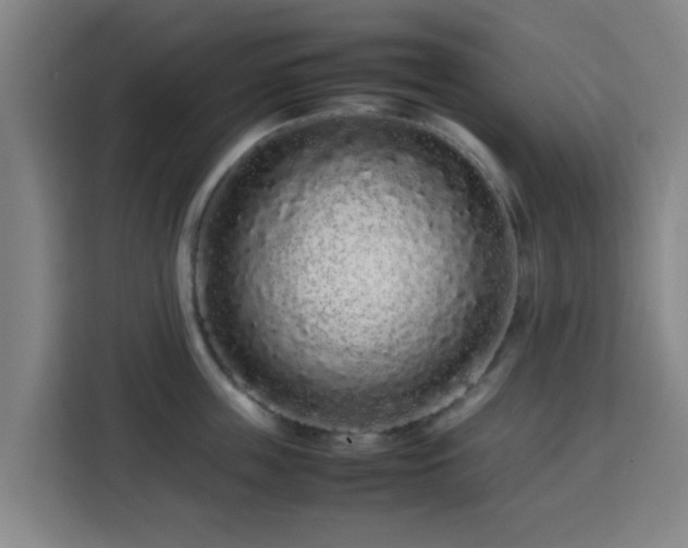 X0000113760859200909301108