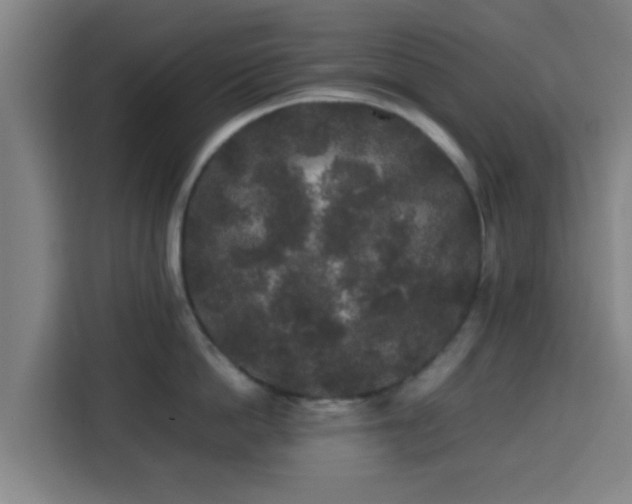 X0000113760862200909301108