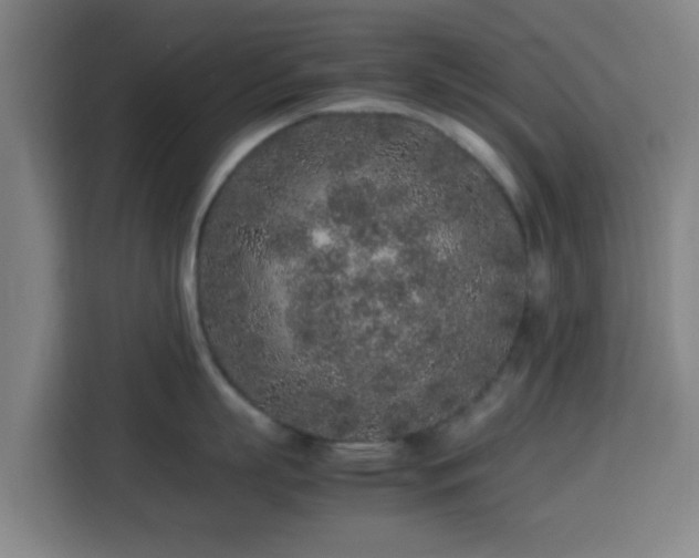 X0000113760863200909301108