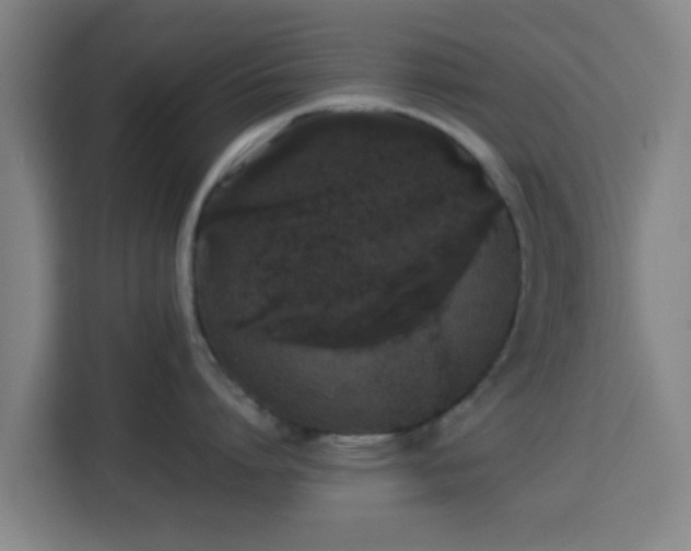 X0000113760864200909301108