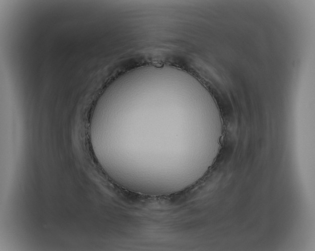 X0000113760865200909301107