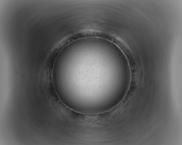 X0000113760870200909301107