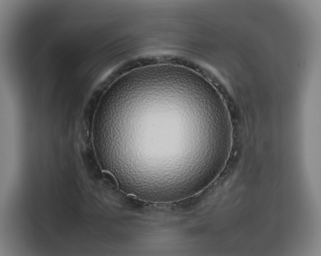 X0000113760871200909301107