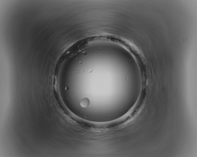 X0000113760873200909301107