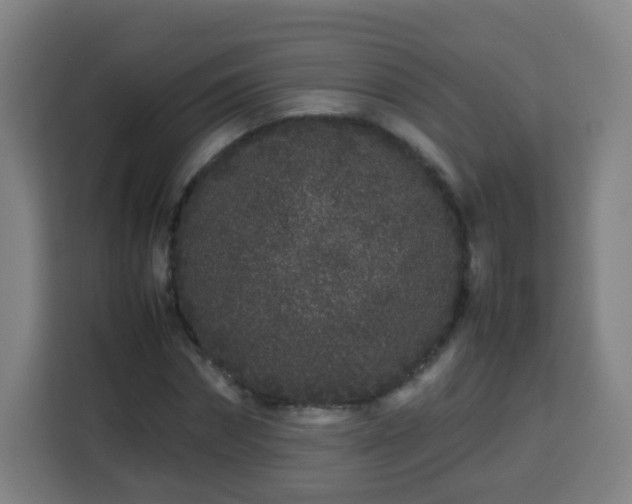 X0000113760874200909301107