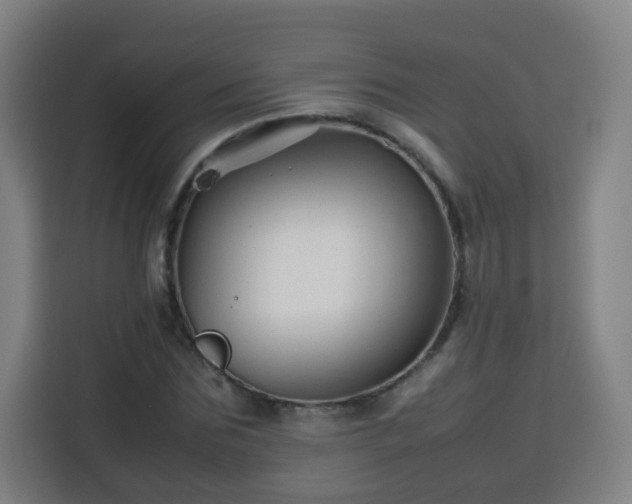 X0000113760875200909301107