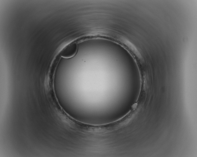 X0000113760876200909301107