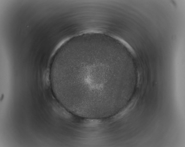 X0000113760878200909301107