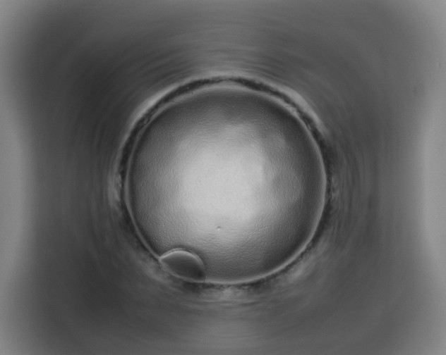 X0000113760879200909301107