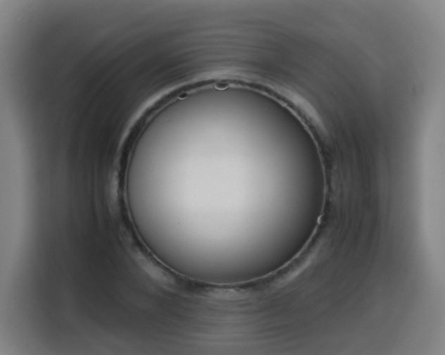X0000113760880200909301107