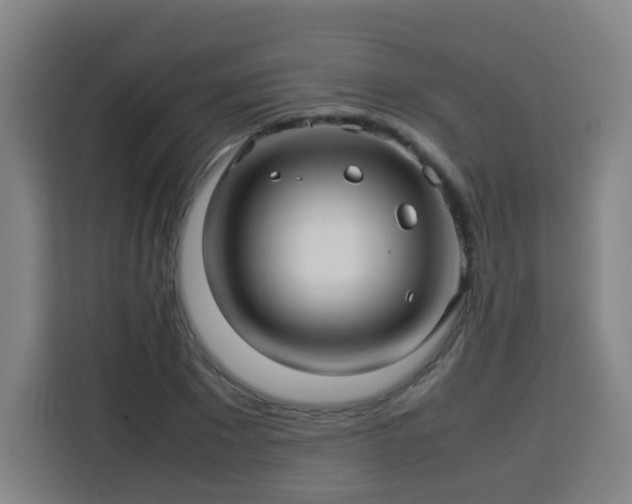 X0000113760881200909301107