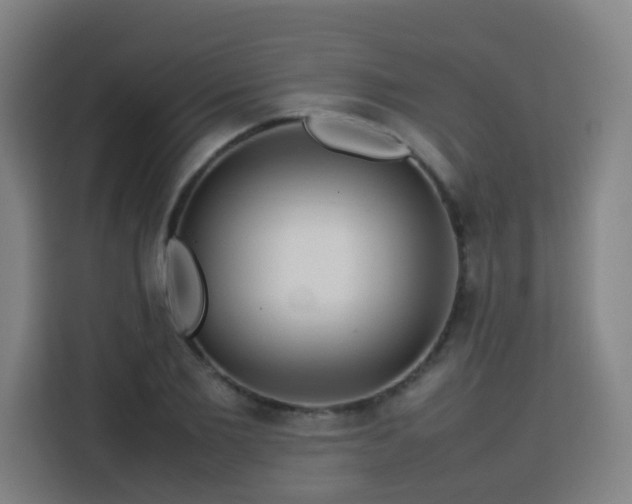 X0000113760885200909301107
