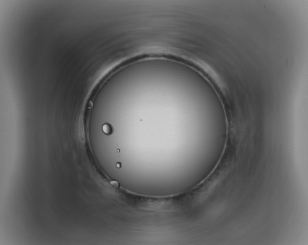X0000113760887200909301107